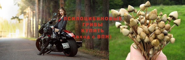 прущая мука Алексеевка